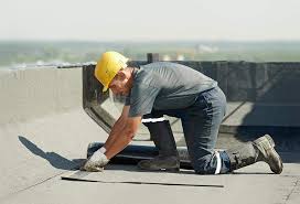 Best Roof Maintenance and Cleaning  in Newton, TX